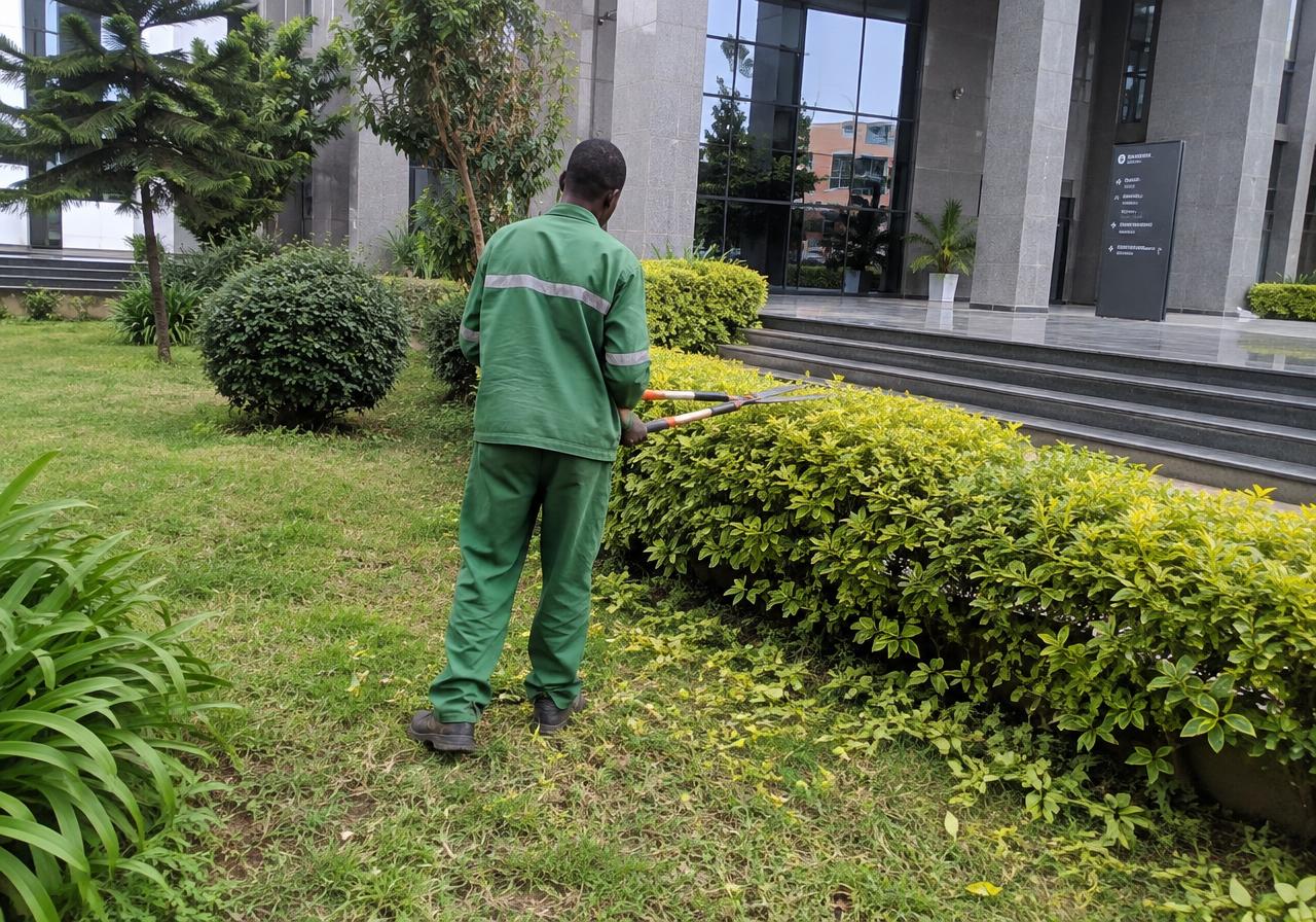 Landscaping & Grounds Maintenance